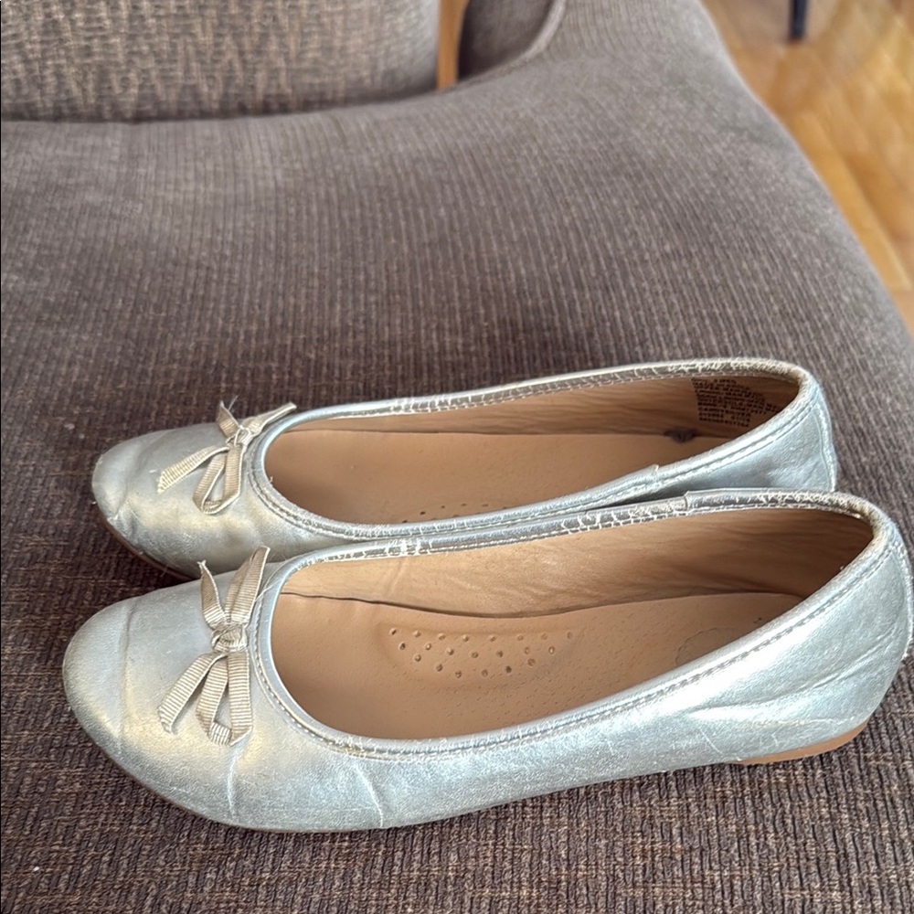 Elegant Silver Ballet Flats